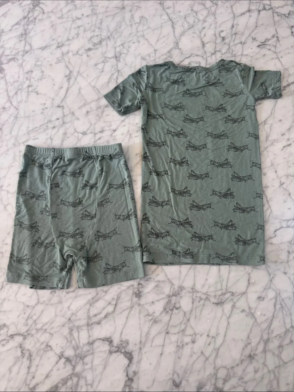 Kate Quinn Bamboo Kids Short Sleeve Pajama Set Sage Grasshopper Print Sz 5T